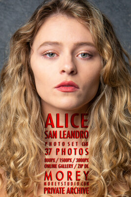 Alice California nude art gallery by craig morey